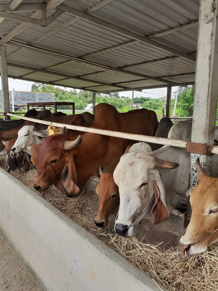 Galeri 3
